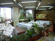 ��n���ك��r�[�̎ʐ^